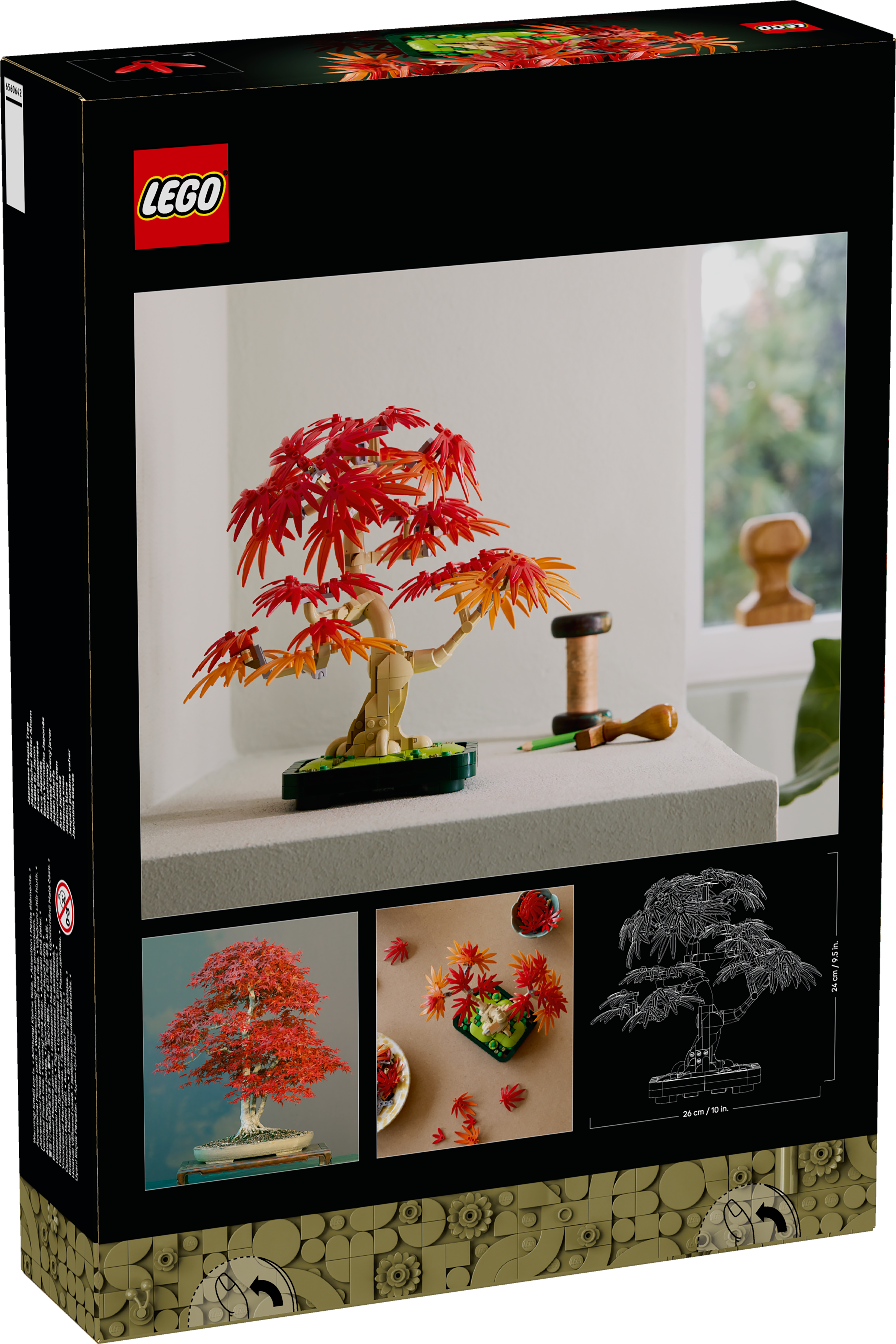 10348 - Japanese Red Maple Bonsai Tree