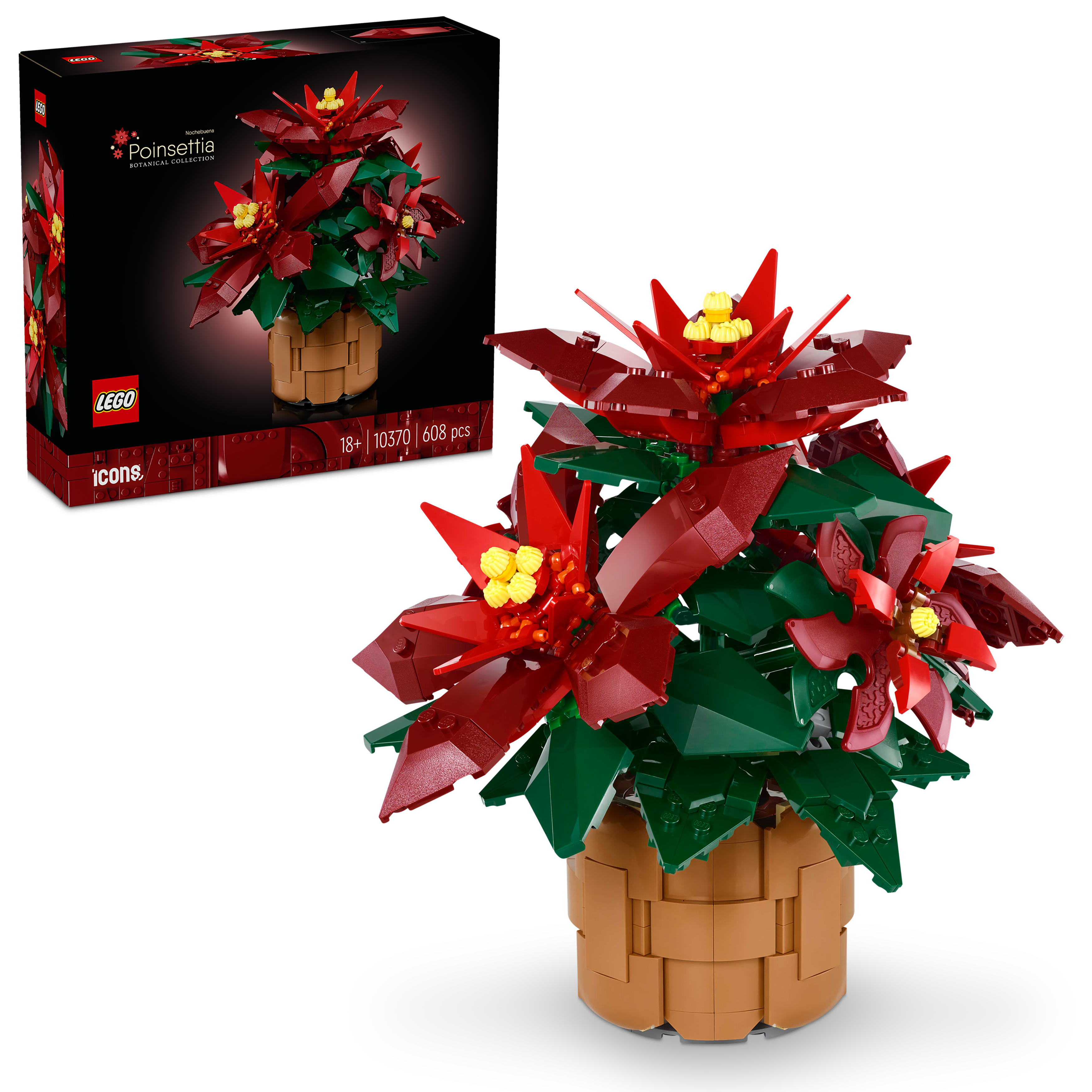10370 Poinsettia
