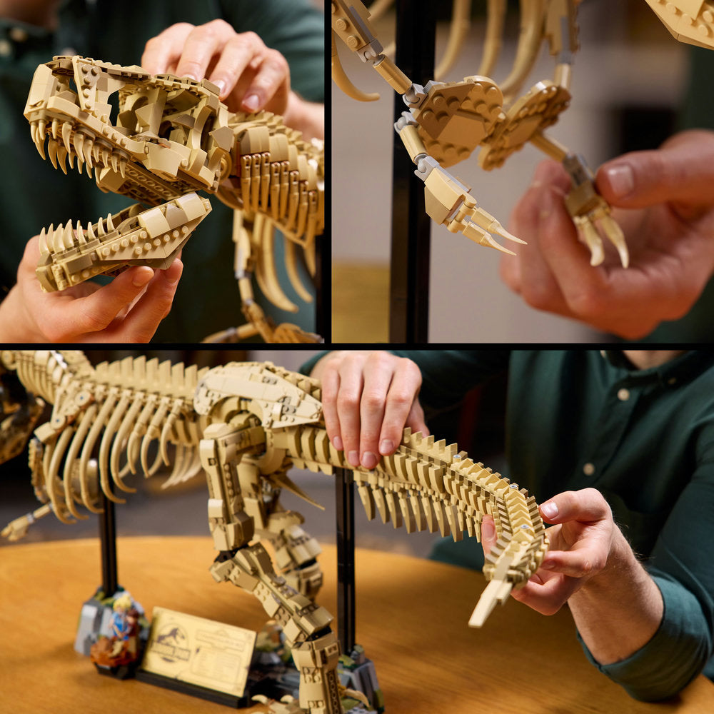 76968 Dinosaur Fossils Tyrannosaurus Rex